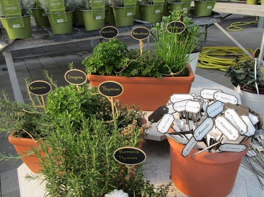Blumen Maier Hohe Qualität & nachhaltige Produktion