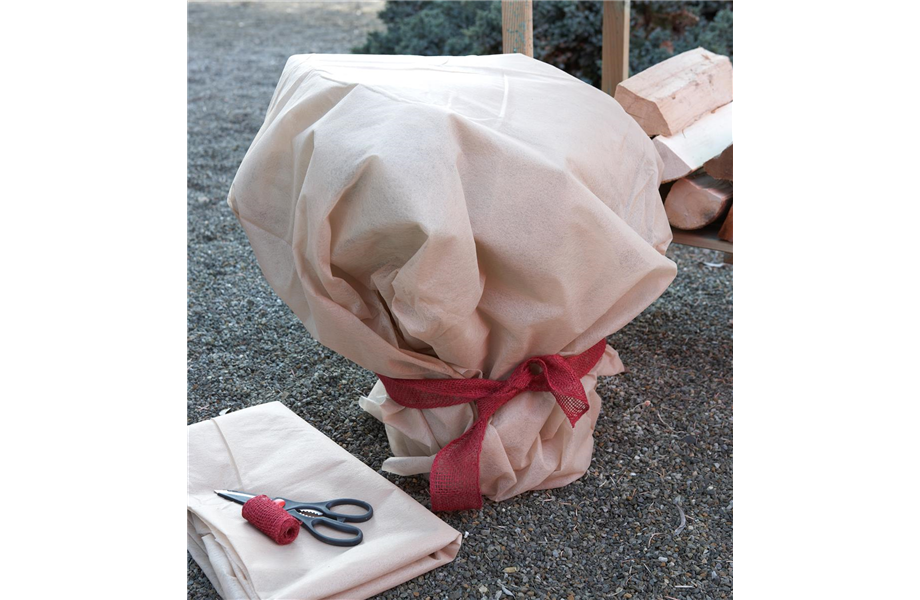 Winterschutz für Kübelpflanzen Winterschutz für Kübelpflanzen