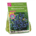 DBIA-Zwiebeltuetchen-Blausternchen-20.jpg