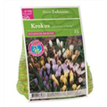 DBIA-Zwiebeltuetchen-Krokus-Speziesmischung-25.jpg